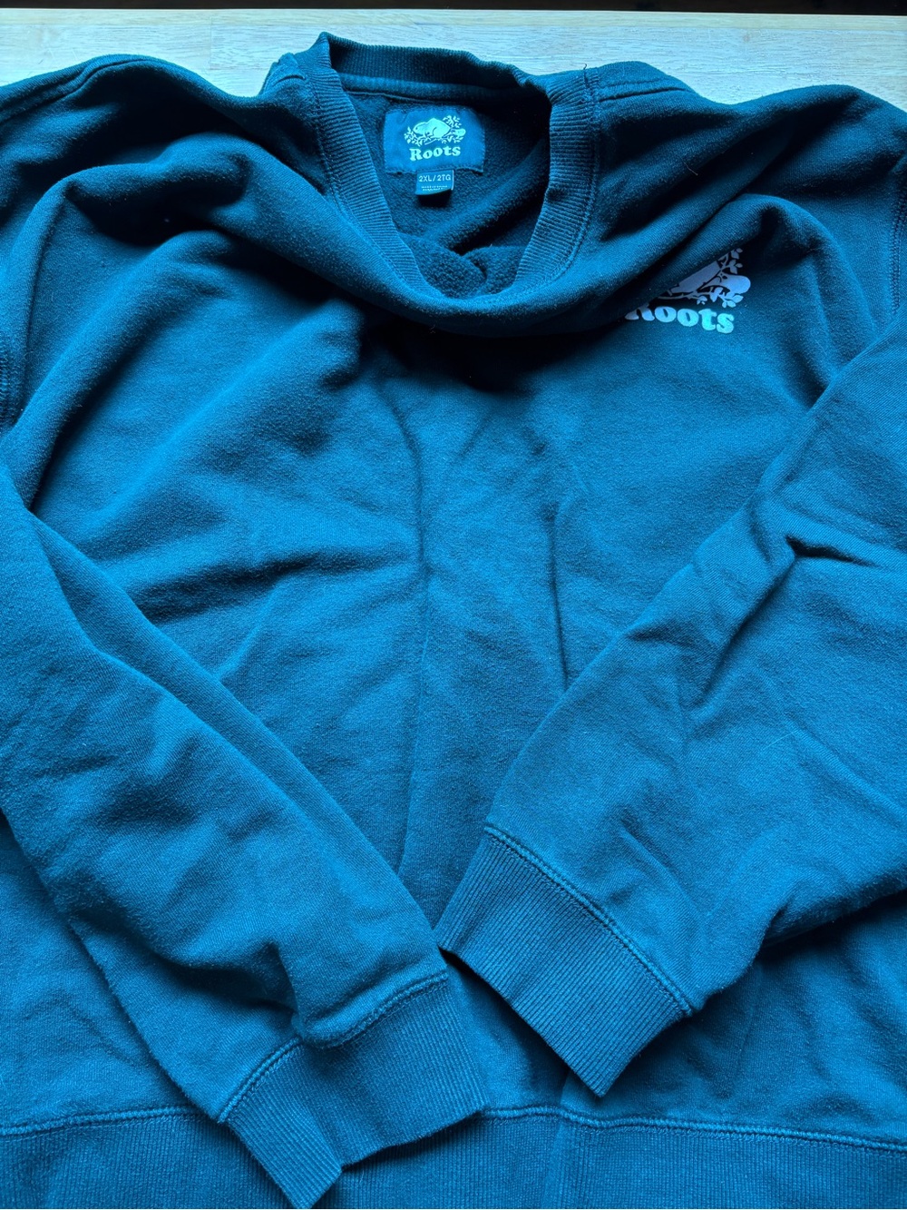 Roots Men's Teal Crewneck Pullover